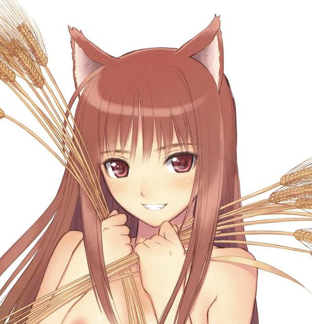 spice and wolf hentai page gallery misc tony xii wolf spice horo