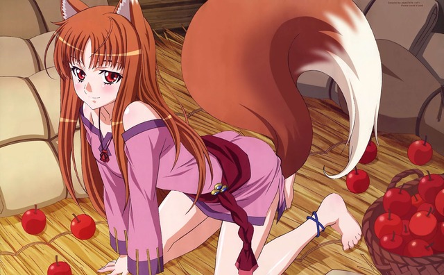 spice and wolf hentai ending wolf opening spice aqxah