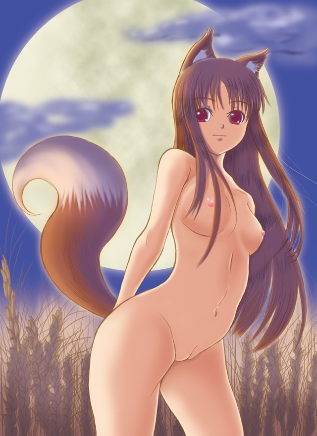spice and wolf hentai tail hair breasts nipples pussy nude eyes long bad brown red animal ears next wolf spice horo vulva yappy