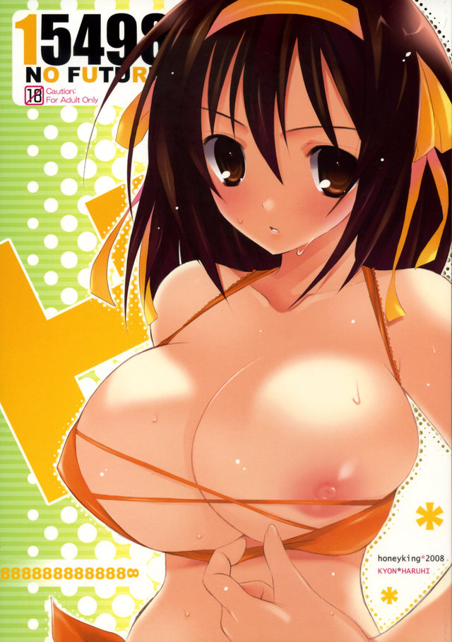 suzumiya haruhi no yuuutsu hentai imglink future haruhi honeyking