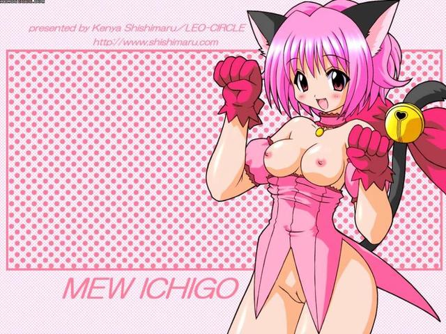 tokyo mew mew hentai entry mewmew