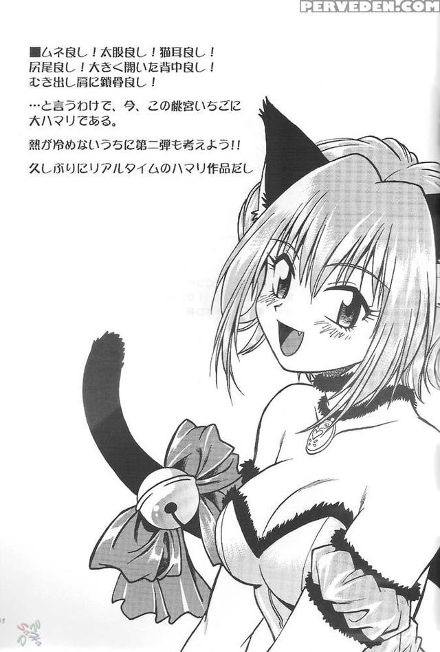 tokyo mew mew hentai mangasimg manga tokyo mew edfef