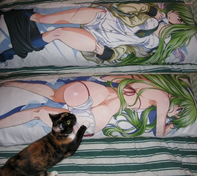 c2 hentai albums pillow endofanubis