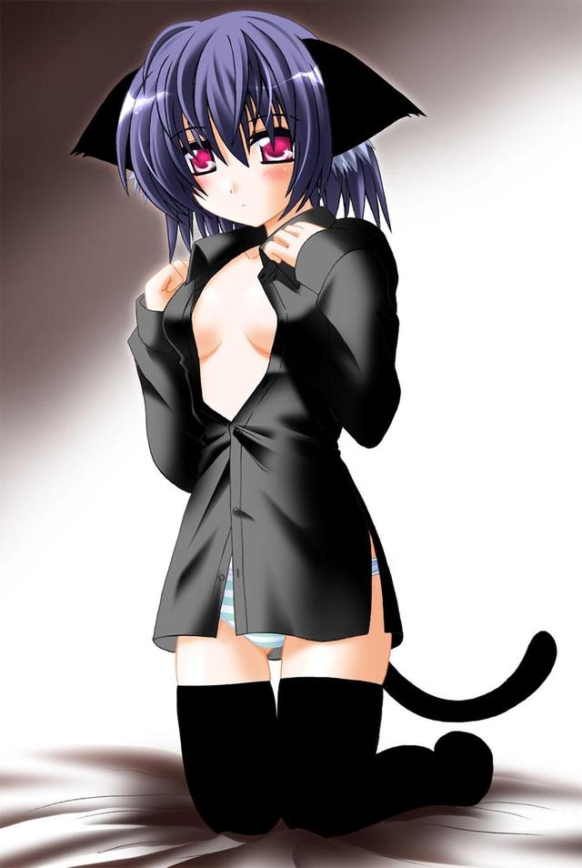 catgirl hentai pictures anime hentai porn photo cartoon catgirl package