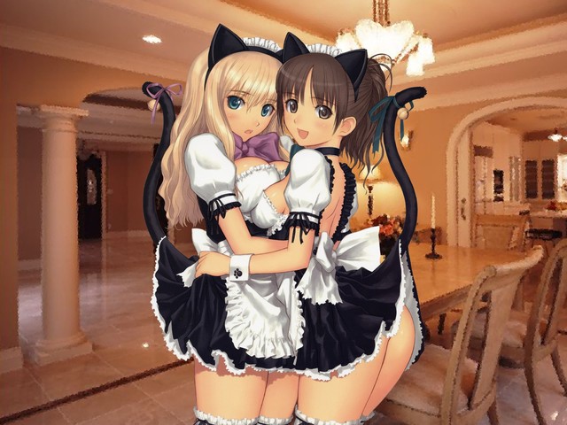 catgirl hentai pictures hentai tail maid blonde girls hair maids picture blue eyes brown nsfw tony animal ears corner konachan taka hug catgirl