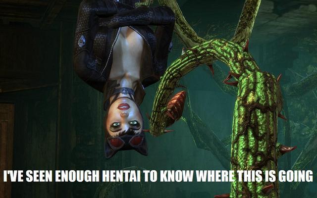 catwoman hentai galleries hentai this original photos where seen enough know going ive