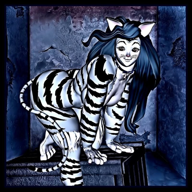 catwoman porn hentai albums catwoman manor rakshasakitty chakuun