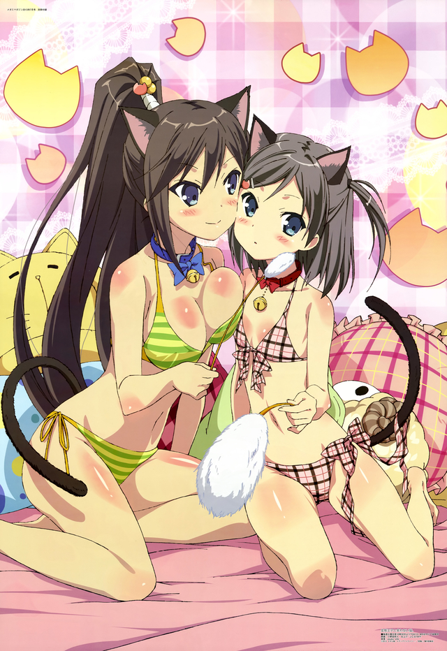 cleavage hentai pictures hentai tail cleavage ouji warawanai neko show swimsuits yande tsutsukakushi tsukiko tsukushi bikini animal ears nekomimi onoda masahito