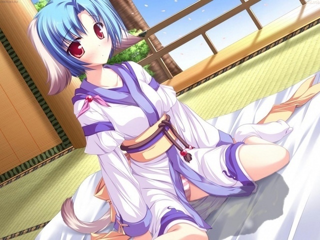 cute hentai girl pics hentai tail gallery girl japanese album hair blue animal ears cute panties bed clothes peeing kimono tabi striped wetting