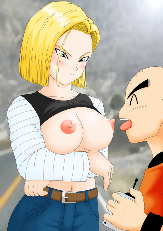 dbz launch hentai hentai dragon media krillin ball