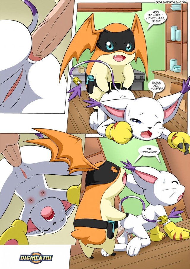 digimon gatomon hentai photo jdorsett