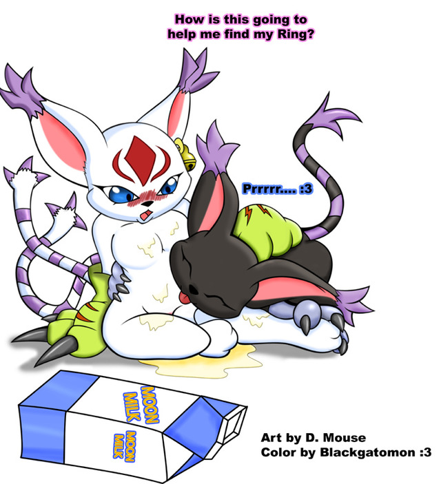 digimon gatomon hentai hentai gatomon nia mouse dears helping blackgato