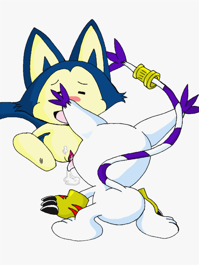 digimon gatomon hentai pictures user gatomon shadowlink puar