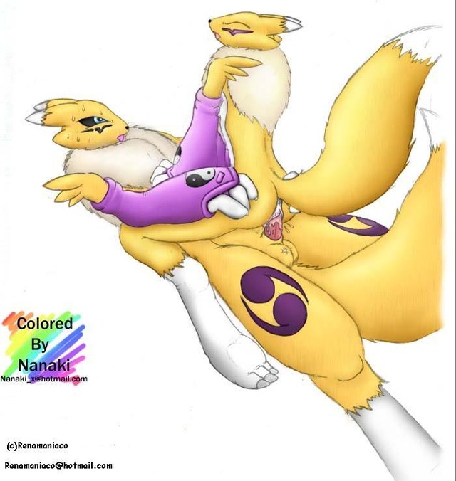 digimon tamers rika hentai hentai albums digimon zone renamon yiffy skyshadow