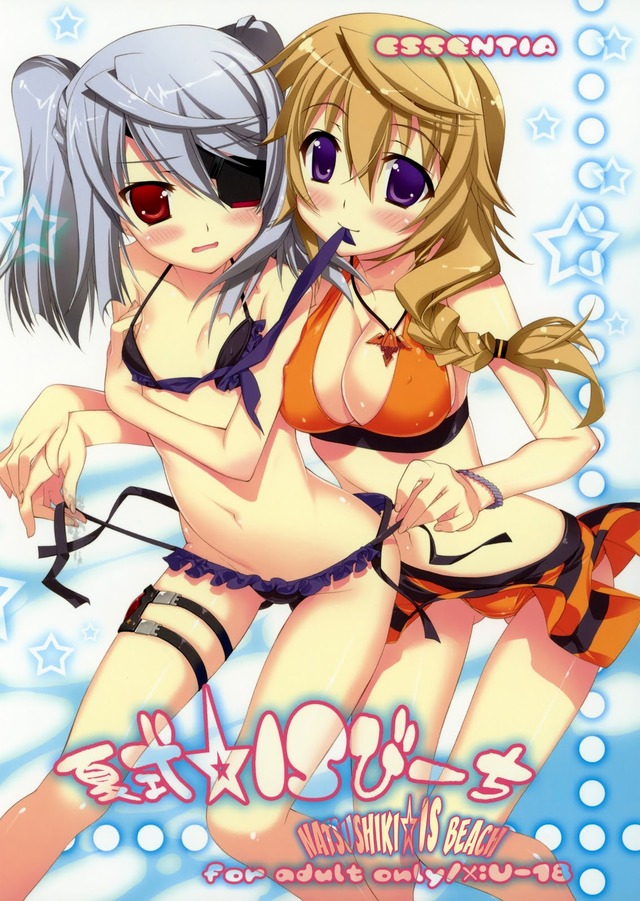 download doujinshi hentai hentai beach doujin natsushikiis