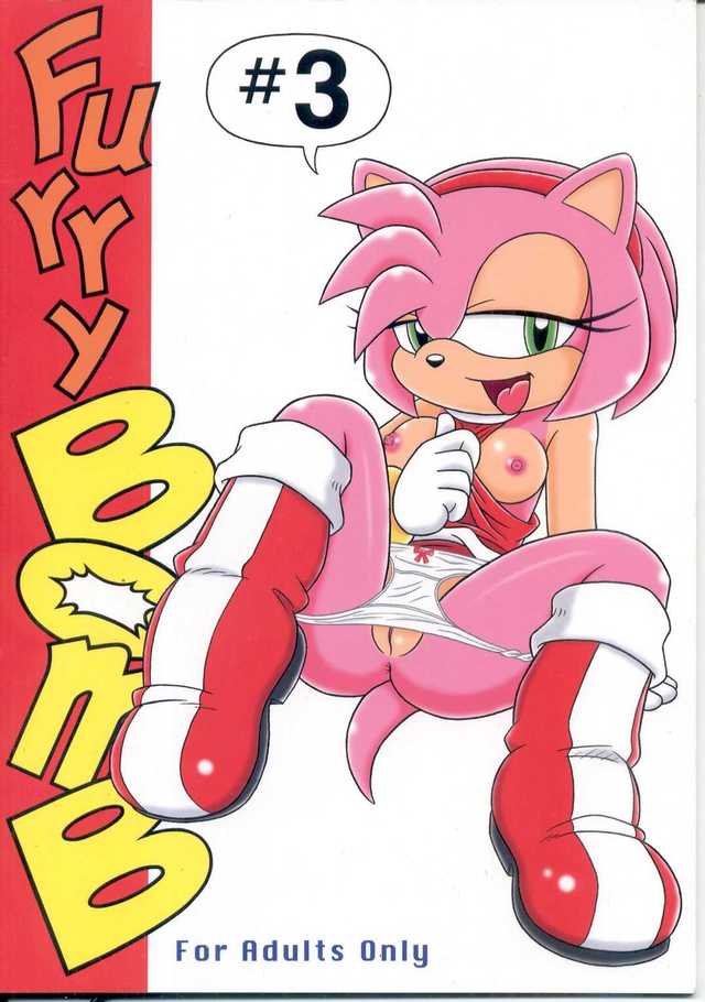 furry hentai footjob imglink bomb sonic furry factory