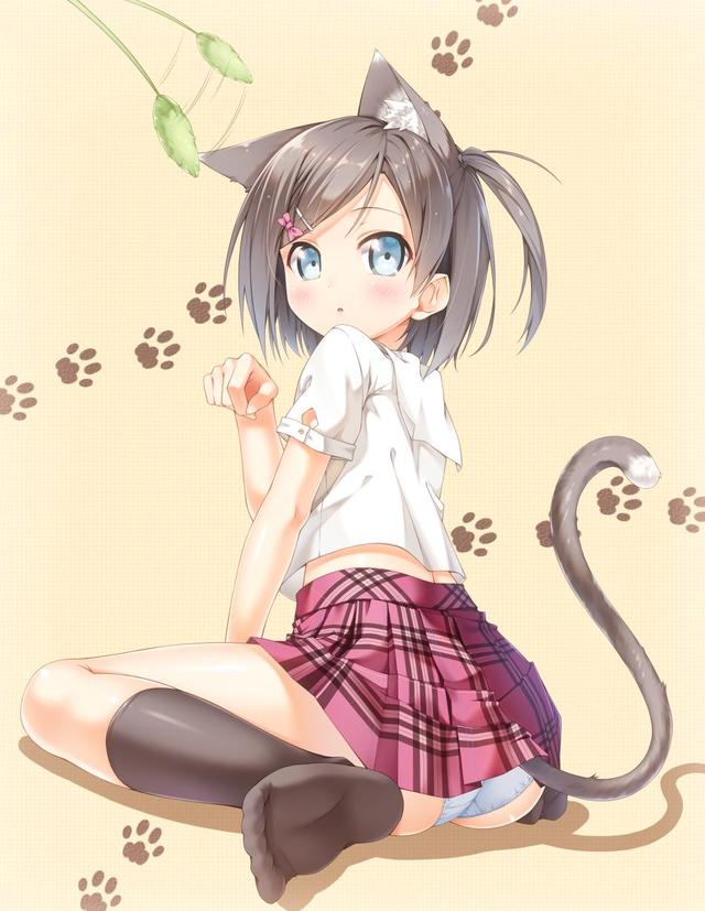 neko hentai gif pantsu bqoi