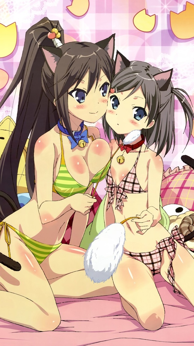 neko hentai pics hentai flash wallpaper ouji warawanai neko tsutsukakushi tsukiko tsukushi zte