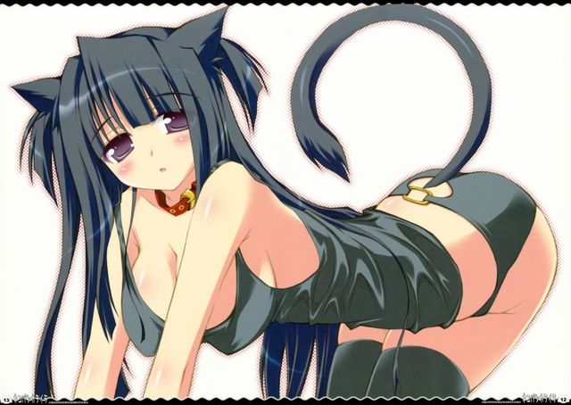 neko hentai pics hentai gallery girl album neko med