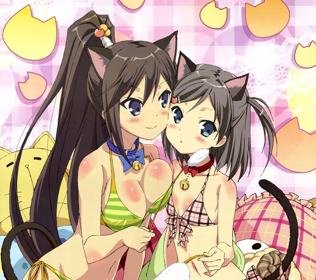 neko hentai hentai wallpaper ouji warawanai neko android tsutsukakushi tsukiko tsukushi