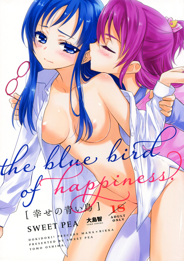 pretty cure hentai page manga series blue bird pretty cure tomo ooshima hapiness