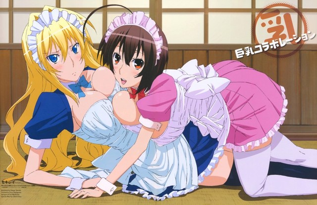 sekirei hentai anime anime hentai albums galleries categorized sekirei tsukiumi musubi