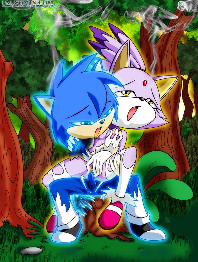 sonic and blaze hentai sonic team cat palcomix blaze