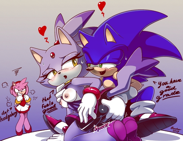 sonic and blaze hentai amy sonic team cat rose hedgehog blaze nancher