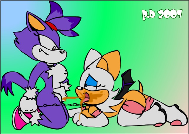 sonic and blaze hentai bunny sonic team cat perverted blaze dcb rouge bat acffb cdbfe