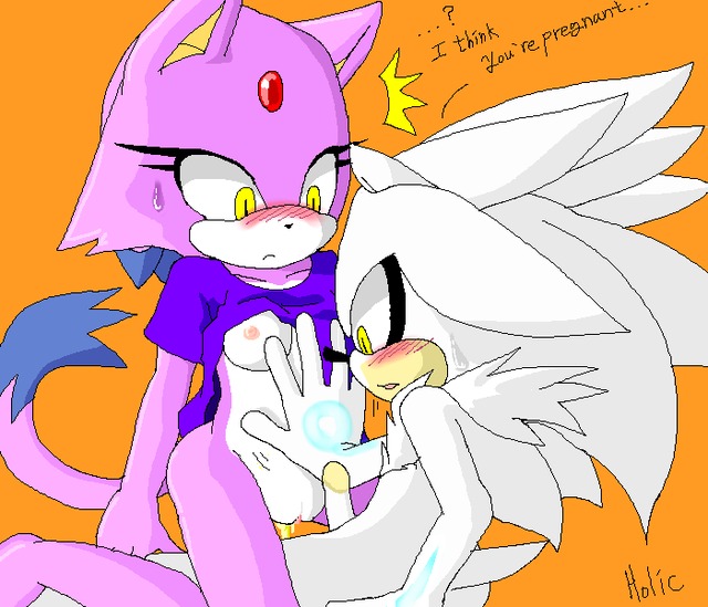 sonic and blaze hentai porn sonic team cat hedgehog aab blaze silver holicstar hegehog