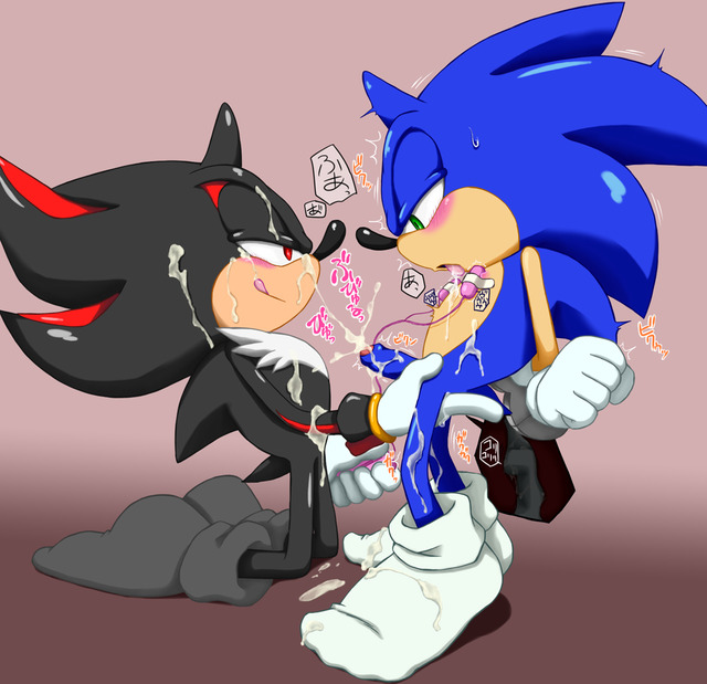 sonic and shadow hentai sonic team shadow hedgehog shoppaaaa