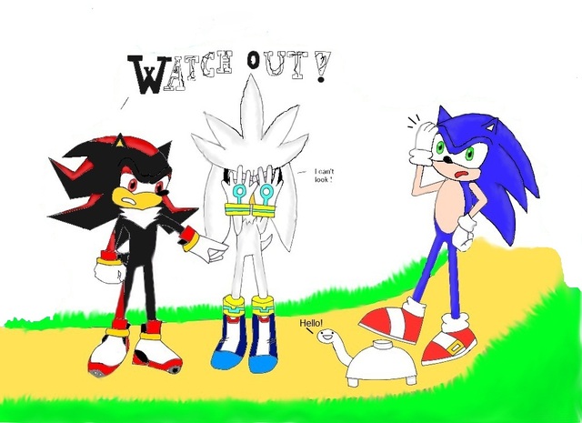 sonic and shadow hentai games morelikethis traditional fanart paintings ecbd abfc