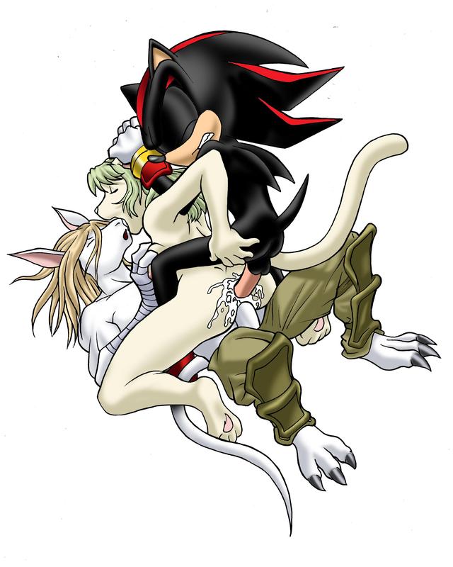 sonic and shadow hentai final crossover sonic team shadow fantasy tenchi muyo ryoko hedgehog balta gxp erma burmecian fratley wau