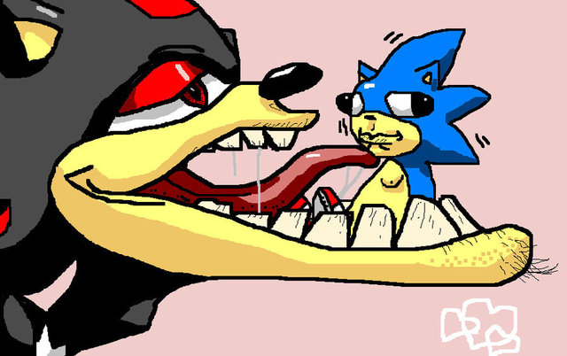 sonic and shadow hentai art sonic shadow tisbutascratch