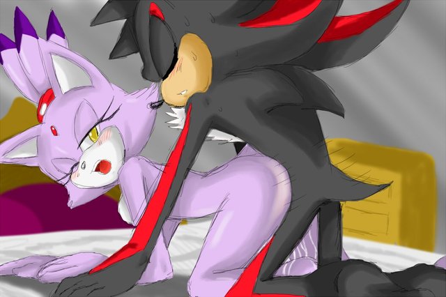 sonic and shadow hentai pictures album artist shadow cat furries blaze hed sssonic