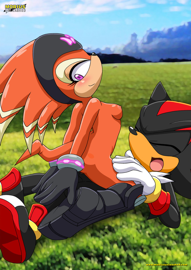 sonic and shadow hentai page