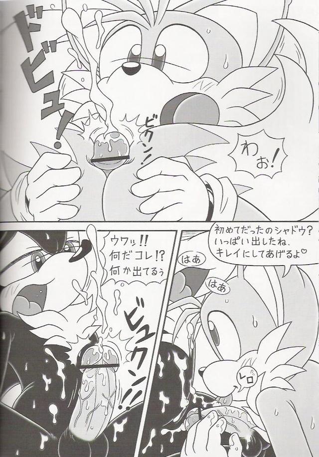 sonic and tails hentai imglink bomb sonic furry factory