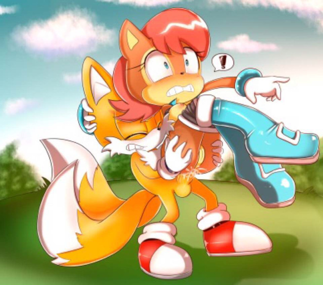 sonic and tails hentai page