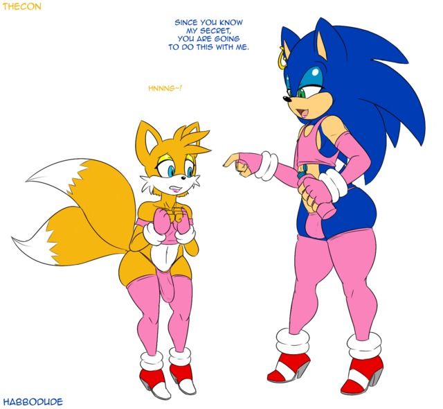 sonic and tails hentai sonic team hedgehog tails thecon habbodude