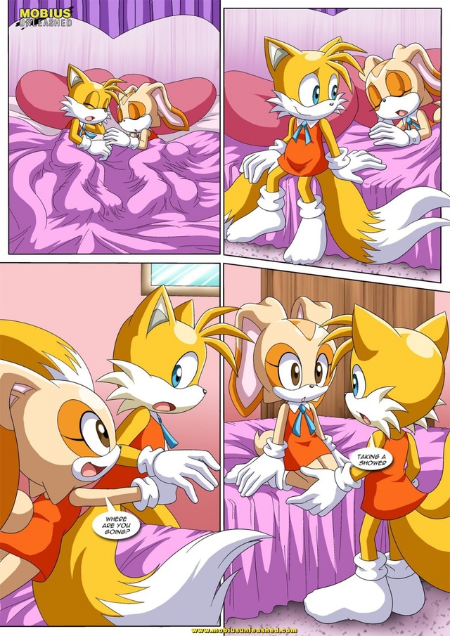 sonic and tails hentai public comics cream palcomix pages styles tails juicebox aecy