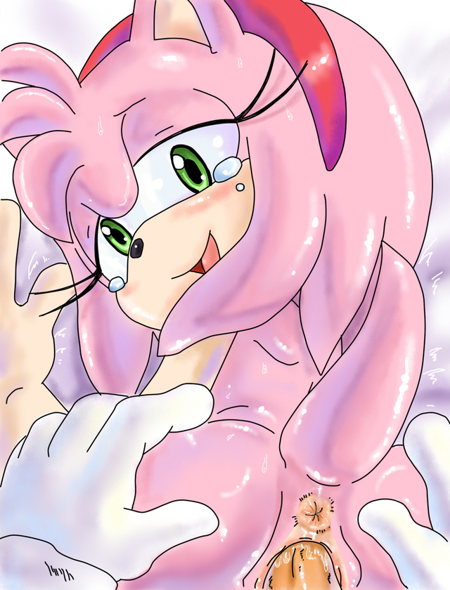 sonic flash hentai thread art amy sonic team ceb random rose randomguy