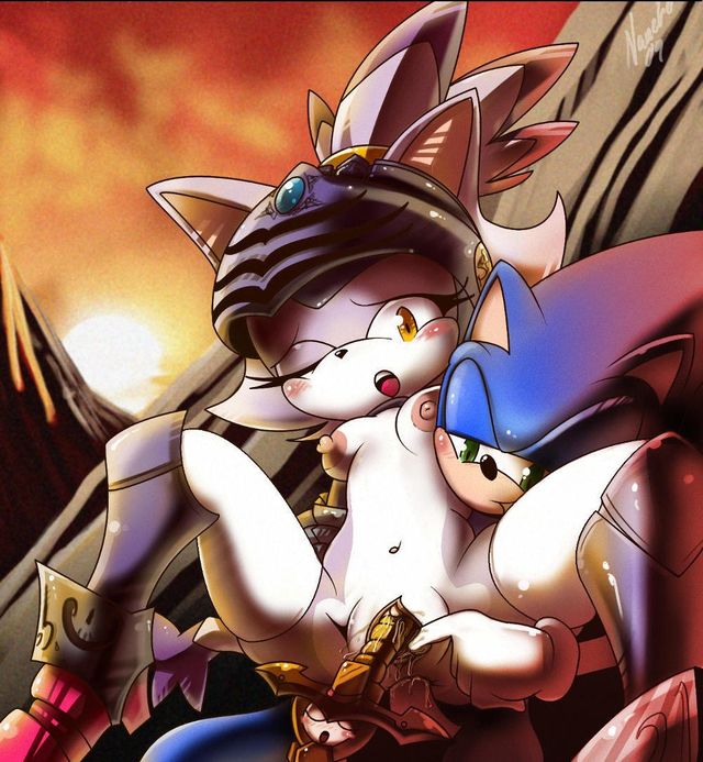 sonic hentai blaze hentai adc sonic team cat hedgehog blaze nancher caliburn