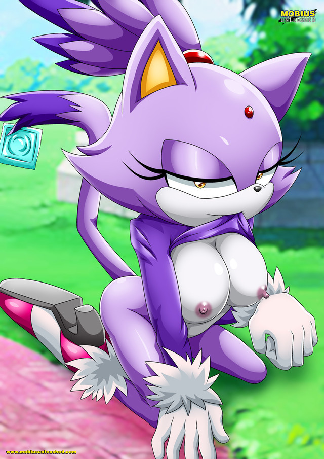 sonic hentai blaze sonic cat hedgehog blaze