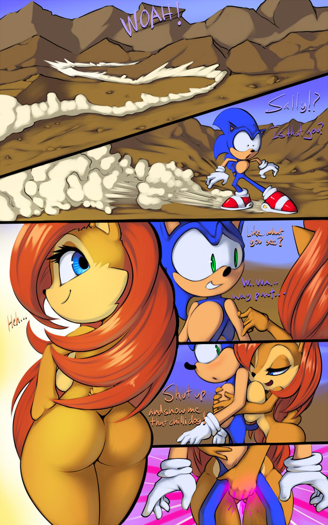 sonic hentai comic sonic comic hedgehog sally acorn thefuckingdevil