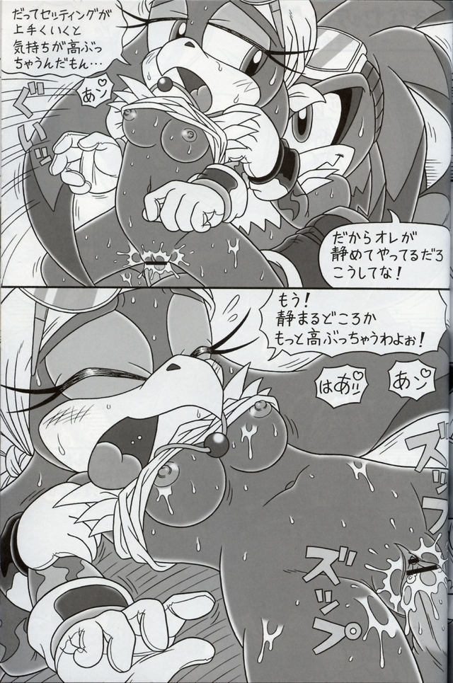 sonic hentai doujinshi hentai