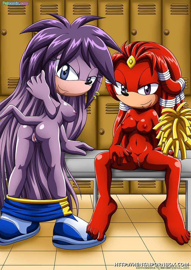 sonic hentai gallery hentai sonic hedgehog