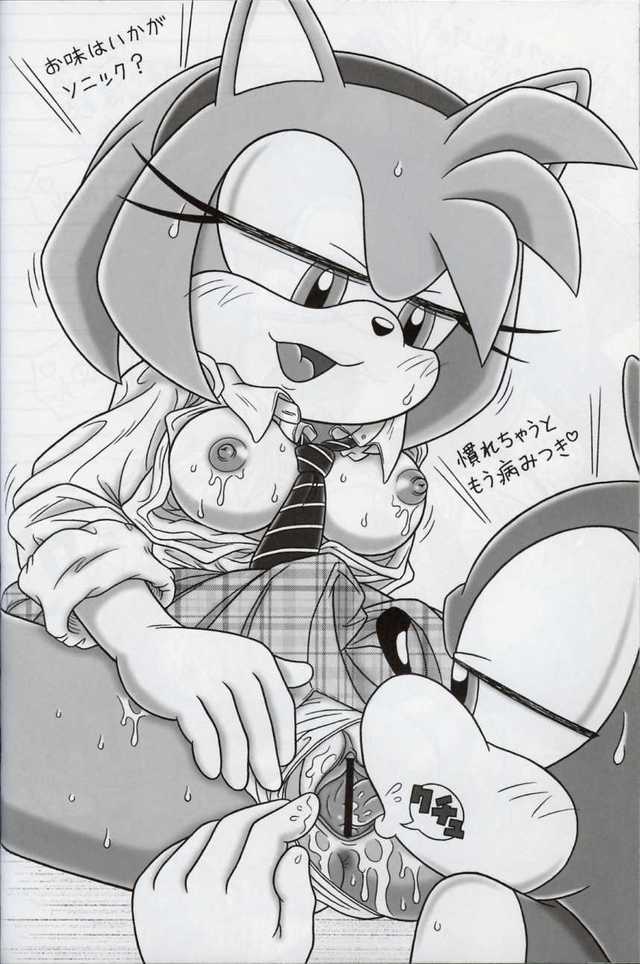 sonic hentai manga imglink bomb sonic furry factory