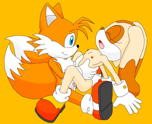 sonic hentai pictures album sonic hedgehog furries