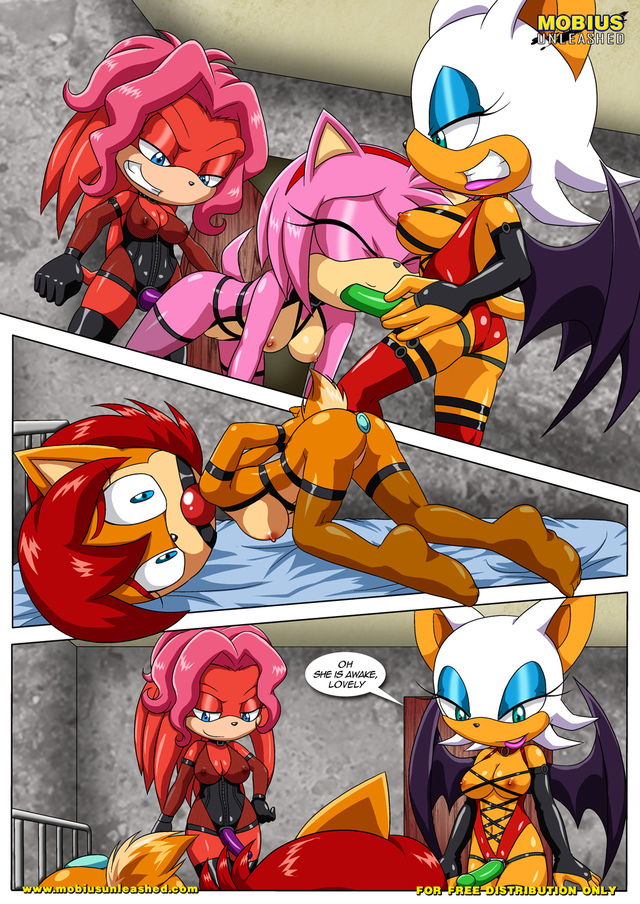 sonic riders hentai hentai porn doujinshi cdc sonic eed upload toons empire eece originals