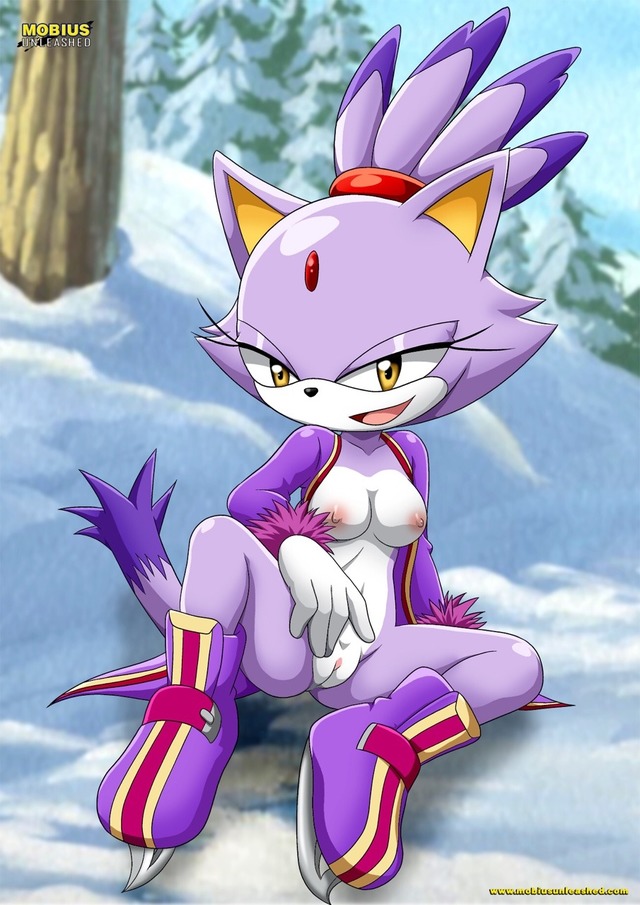 sonic riders hentai cat blaze